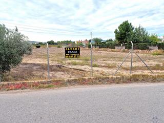 Terreny residencial a Novelda. Noveldaterreno