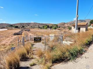Terreny residencial a Novelda. Noveldaterreno