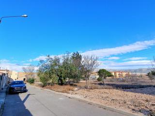 Terreny residencial a Monòver. El pinósterreno