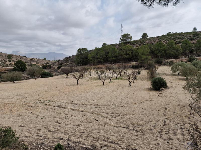 Foto 69b3f33b-3e6e-4d55-ac6a-a7eddae0708c. Chalet monóvarchalet en Monòver