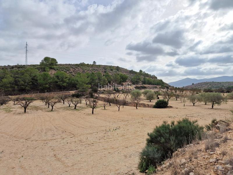 Foto f198c404-5745-4015-b1ec-db9f899a5c8d. Chalet monóvarchalet en Monòver