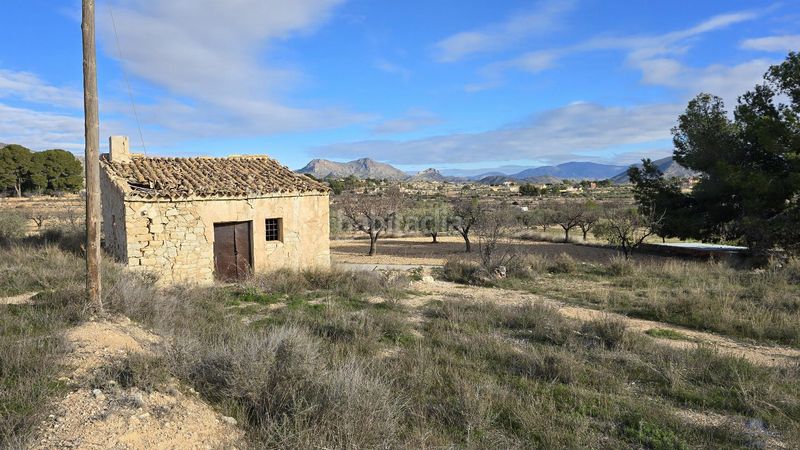 Foto 1d843717-4d44-4564-b87d-b9969c0ca353. Terreny residencial a partida pedrera sn a Monòver