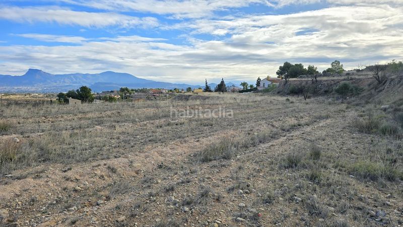 Foto 7cfc6239-4f19-4ce0-8a95-958fea23743e. Terreny residencial a partida pedrera sn a Monòver