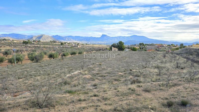 Foto e2406e83-8bd9-4a32-be1a-2dfb19e459ec. Terreny residencial a partida pedrera sn a Monòver