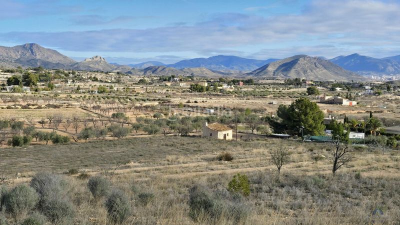 Foto e3ce4b96-34ef-498b-a380-51b36d702cc2. Terreny residencial a partida pedrera sn a Monòver