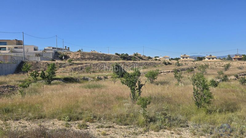 Foto 6672364f-6593-407d-b166-e09da157e57c. Terreny residencial a Monòver