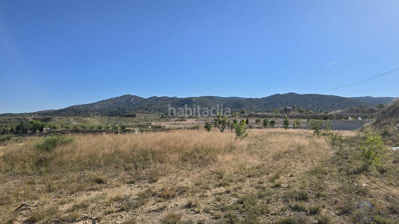 Foto db729289-e8a6-446b-8d2e-8568c58d84fe. Terreny residencial a Monòver