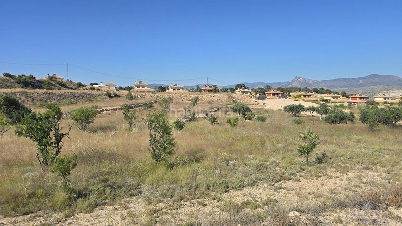 Foto f2c3cf63-330e-4b6f-89f2-1e72aa327945. Terreny residencial a Monòver