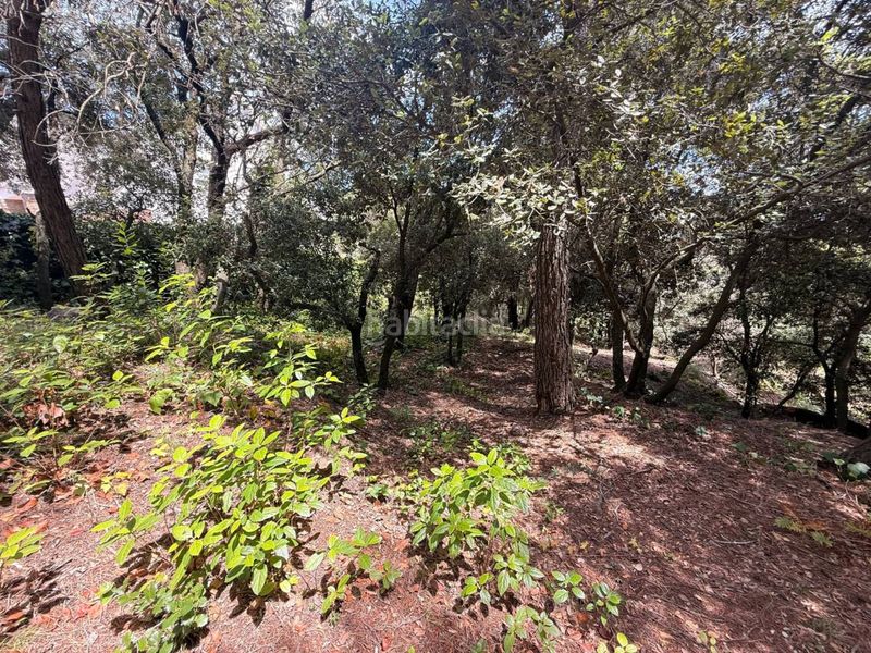Foto feae67d7-b93a-40da-9b79-7bfc4888fe7a. Terreny residencial a Matadepera
