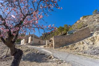 Bauernhof in Polígono 9 parcela 154 ambroz. ricote (murcia) 9. Casa de campo para reformar en el valle de ricote  paraje las lo
