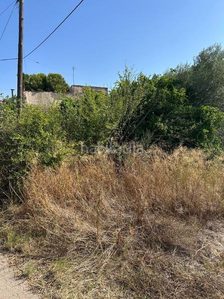 Foto 8e01dd43-1e86-43d9-8d3e-494fcb6ef6b7. Masía en de la hiedra 8 casa a reformar con parcela en Murcia