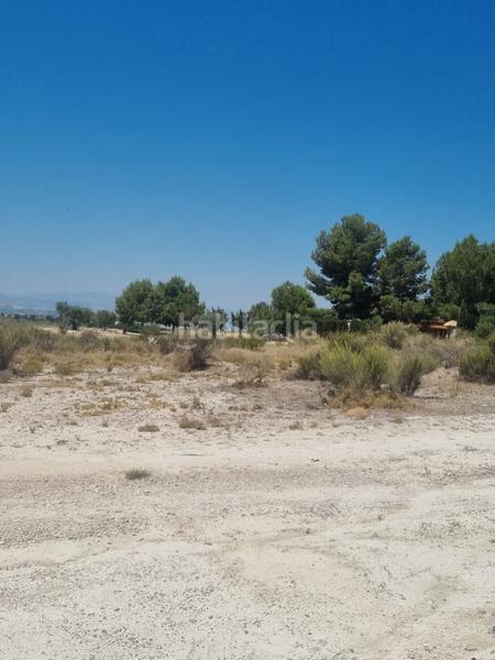 Foto d7db6467-17bb-40c8-97ea-dc0249f04a63. Terreny residencial a camino de los ramos a La Alcayna Molina de Segura