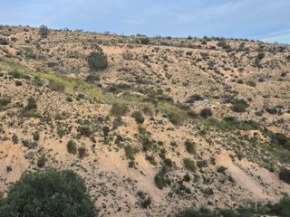 Fondo rustico  Molina de segura - poligono poligono 5, parcela 469, cañada de l. Lote de 3 parcelas rusticas en el fenazar precio increible!!!
