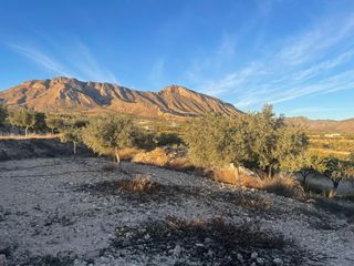 Rural plot  Abanilla - paraje chicamo. En macisvenda, parcela rustica apta para construir cerca del rio