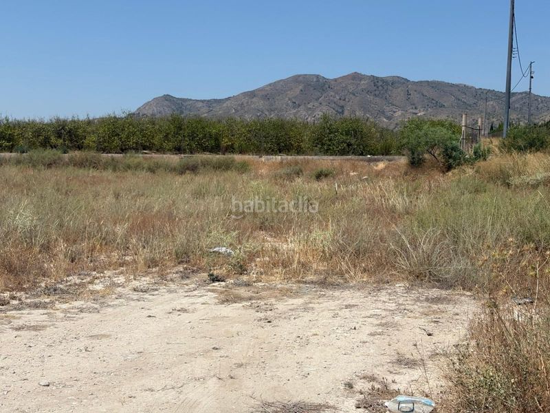 Foto 58adafec-8d58-445e-8490-c18c8f5acc89. Finca rústica a Fortuna