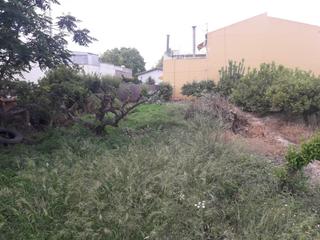 Terreny residencial a Calle santa ana 22. Solar en rincon de seca precio negociable