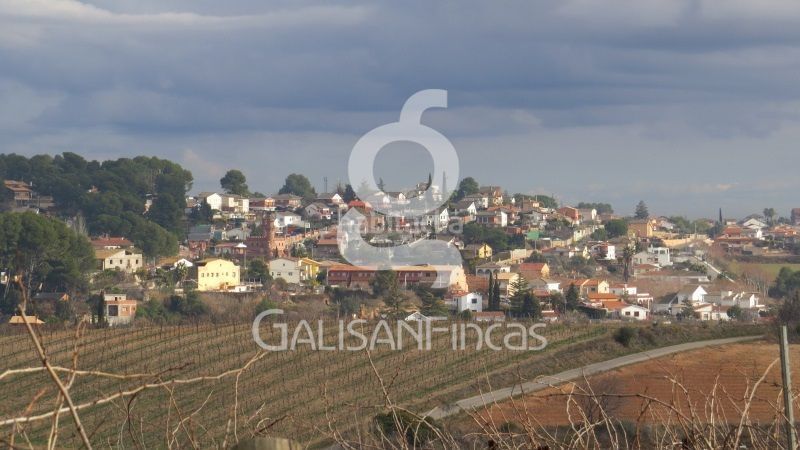 Foto 47a2d8ae-7eeb-4b5f-8eed-db583c0166e7. Terreny residencial a Piera