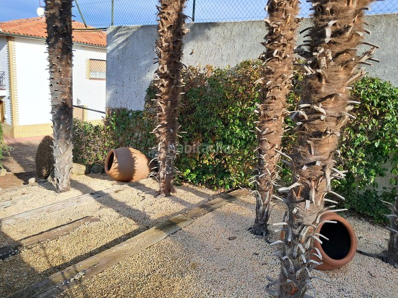 Foto 87074650-c3c6-4840-a1d6-4fa2003a22cd. Casa a Olius