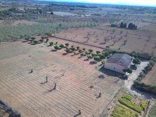 Country house in Porreres. Finca rústica en porreres