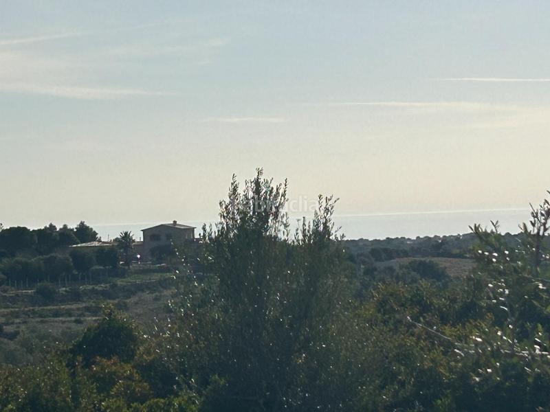 Foto f3cd3d18-1860-4403-97b8-f26a99b47720. Masía finca rústica en sespinagar. en Manacor centre Manacor