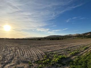 Residential Plot in Porreres. Finca rústica en porreres en venta