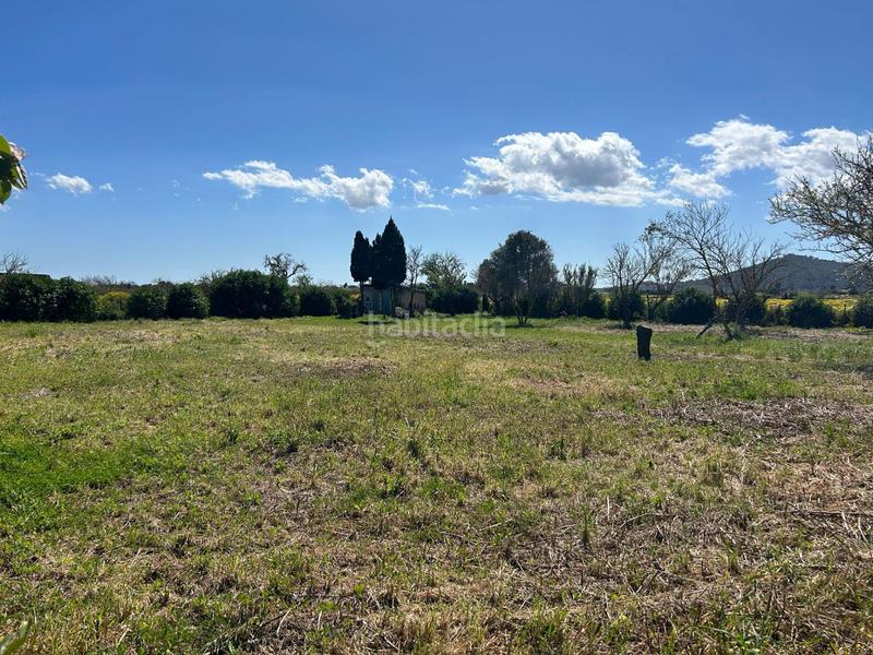 Foto 32646bad-da76-4912-92f8-edbf851c586e. Rural plot in Porreres