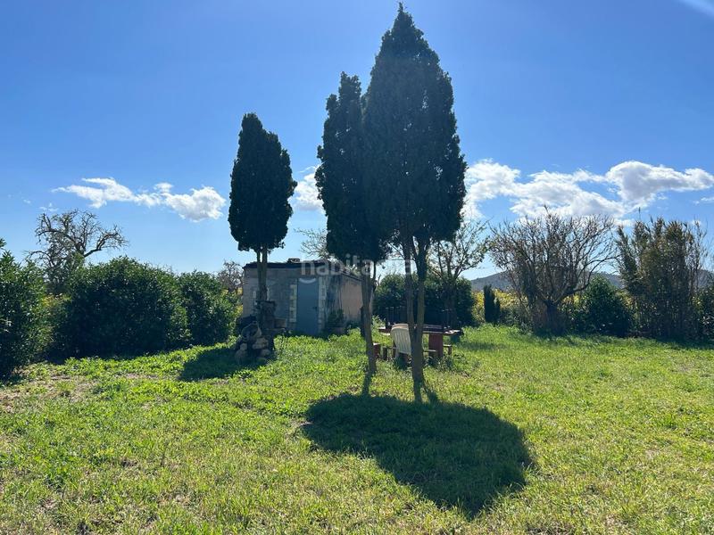 Foto 4788a25a-1e12-45fd-898b-97c5e7fd4c7d. Rural plot in Porreres