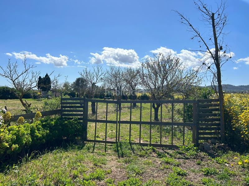 Foto ac9eb292-d907-4b42-aebe-21eb835cf0d2. Rural plot in Porreres