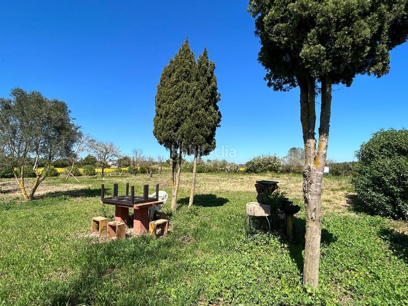 Foto c89cb400-6ff0-4300-ab4e-da9a388e0e22. Rural plot in Porreres