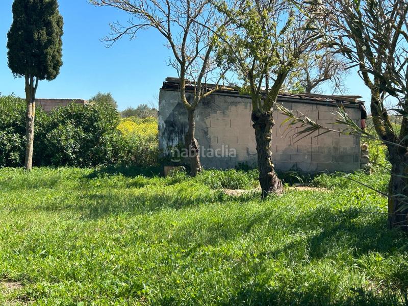 Foto edf8b9d8-d31e-48d4-ba7e-06c0329b0edd. Rural plot in Porreres