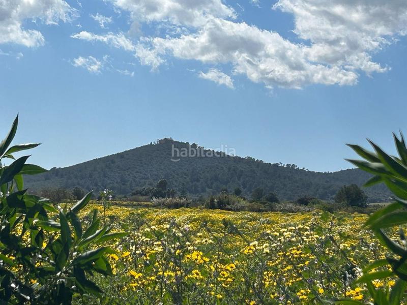 Foto feeb88b0-3224-4ffb-91b0-987aaf5ca8d2. Rural plot in Porreres