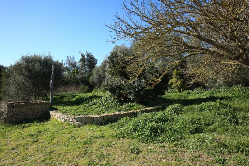 Foto 19a244c4-ea2a-4025-9d61-917060cc8e22. Bauernhof in Sant Joan