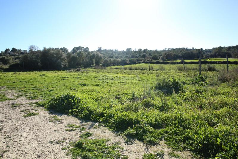 Foto 4bb46141-bc27-4eec-aee4-ef1aa03492c0. Bauernhof in Sant Joan