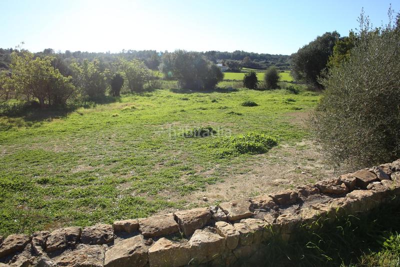 Foto 5feab49e-50e1-4c7e-a117-459609412d64. Bauernhof in Sant Joan