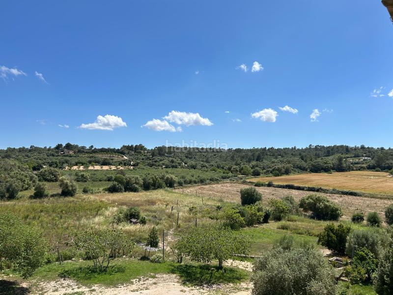 Foto 6131aa9a-faed-4866-bb50-3583fc19dbda. Bauernhof in Sant Joan