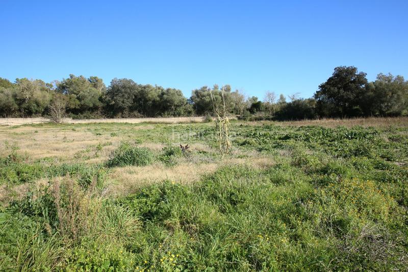 Foto 8c4f6522-b5ab-49d2-94ed-07b568e34846. Bauernhof in Sant Joan