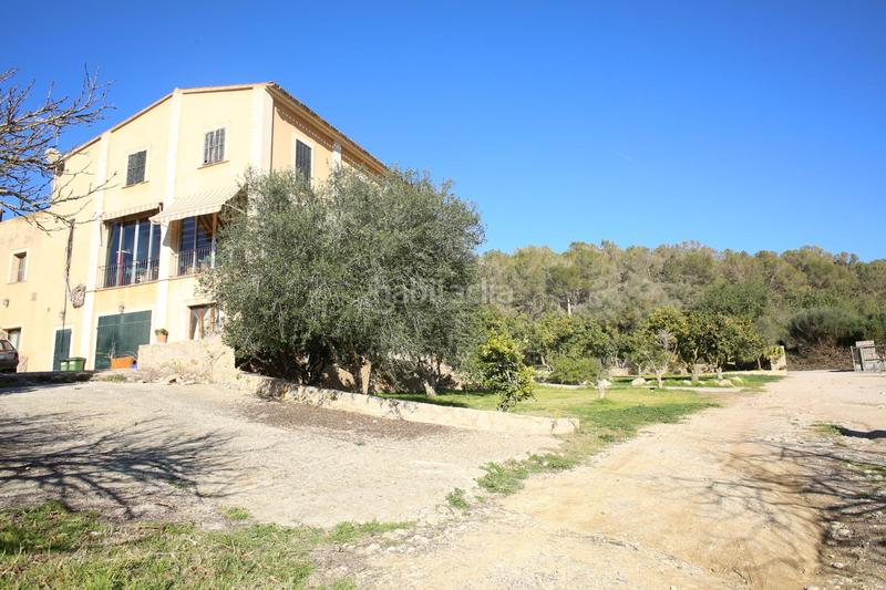 Foto a382120b-c360-4bea-a9b6-6dd7aaa53c13. Bauernhof in Sant Joan