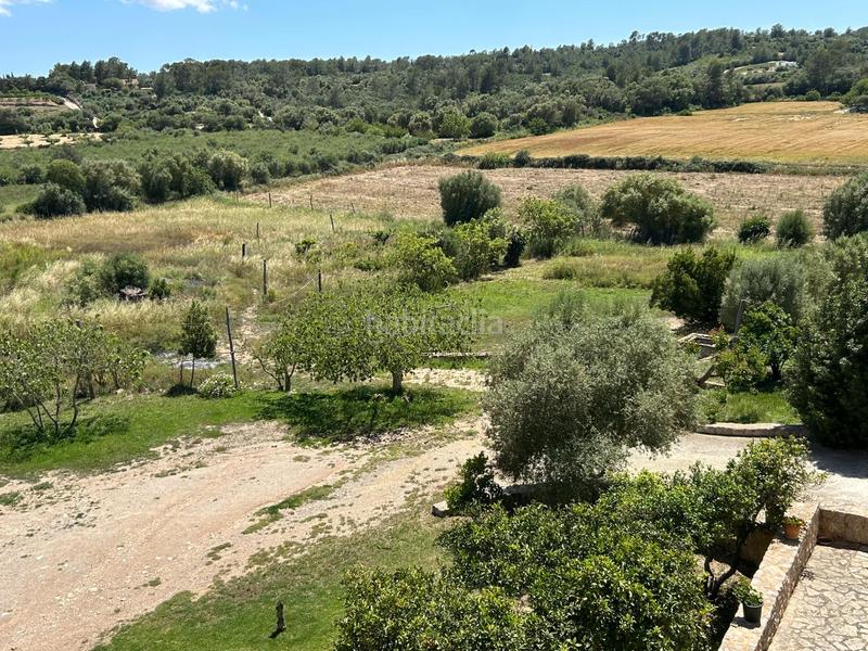 Foto caee5457-3845-4a18-b316-a7821c3bf661. Bauernhof in Sant Joan