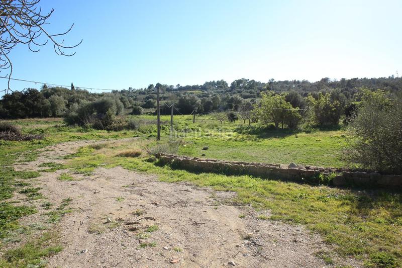 Foto d5f49506-27bc-4458-875c-6cf02bcfa5da. Bauernhof in Sant Joan