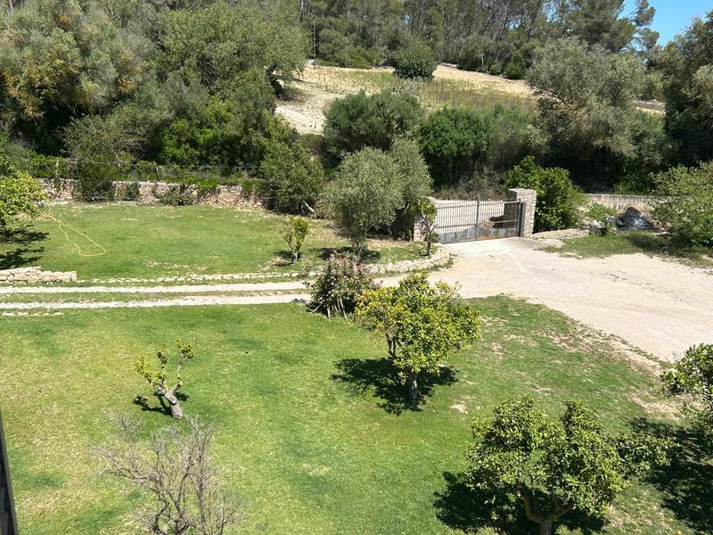 Foto e7b6c2c2-2283-406a-8ff4-49517df5d367. Bauernhof in Sant Joan