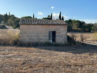 Masía en Montuïri. Se vende finca rústica con casita en montuïri