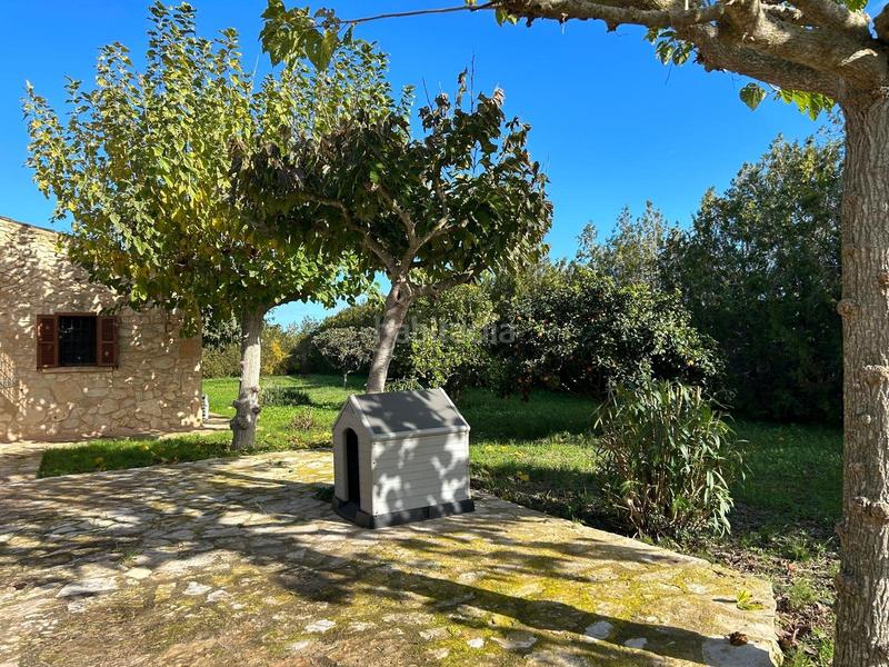 Foto 5353ba23-6d4f-43bc-9ede-683d7acd2a7f. Masia a Montuïri