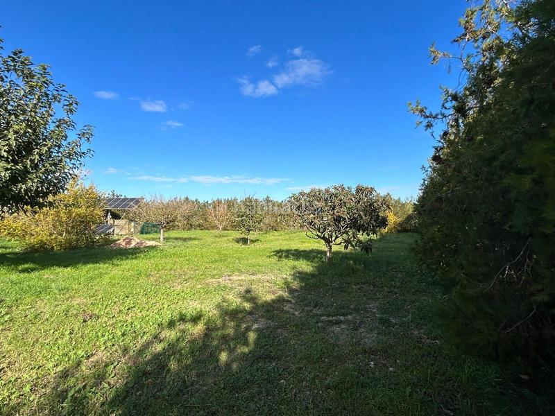 Foto b29ae2e2-d75f-497f-befa-6c99ef775d0a. Masia a Montuïri