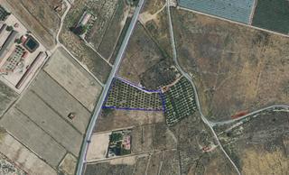 Fondo rustico  Polígono 28 parcela 51 costera-gañuelas. alhama. Oportunidad de construir tu refugio en el campo con posibilidad