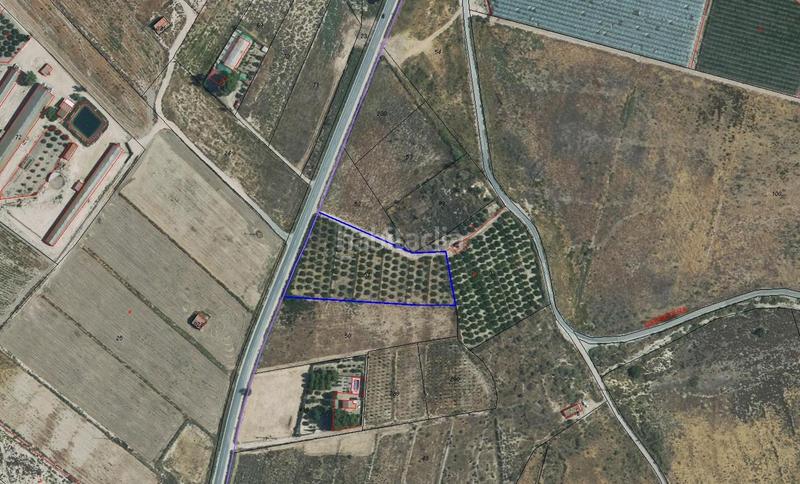 Foto 13c88a6c-0d2c-47b5-b635-dfb09614f94e. Landgut in Sierra de Carrascoy Alhama de Murcia