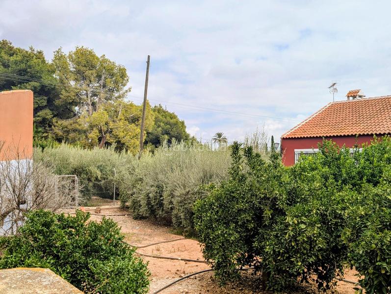 Foto 6e3de934-9dd5-43ea-bd54-4aef687688fd. Xalet a morti bajo 208 a Totana