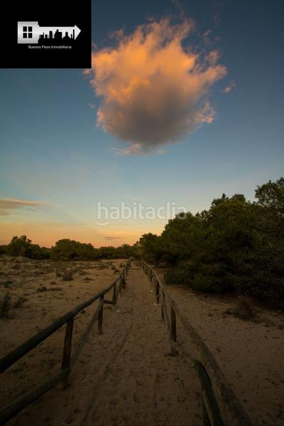 Foto 9df60e7f-e47f-42d7-bf62-8dfa67a326e7. Chalet  en natura pinet, La Marina!!! 653.000 iva en Elche / Elx