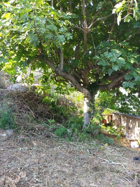 Foto 14f4db50-697a-4a4a-8880-4ad124568c1c. Wohngrundstück in Castellnou-Can Mir-Can Solà Rubí