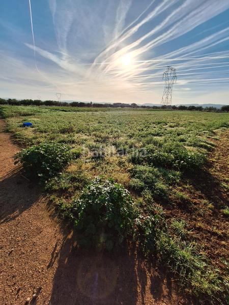 Foto 02c24853-bff4-4733-ac93-551df7f5131d. Fondo rustico in Santa Oliva