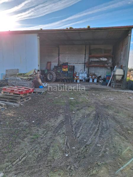 Foto 315dfe8c-4ed6-4ad6-a8d8-f7e7e4c0a5fe. Fondo rustico in Santa Oliva